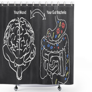 Personality  Mood And Gut Bacteria Shower Curtains