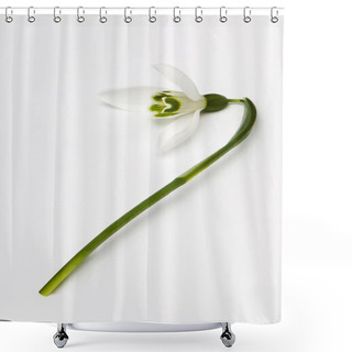 Personality  Snowdrop Shower Curtains