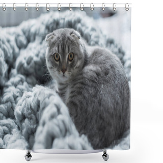 Personality  Cat On Wool Blanket Shower Curtains