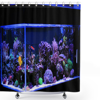 Personality  Coral Reef Aquarium Tank Shower Curtains
