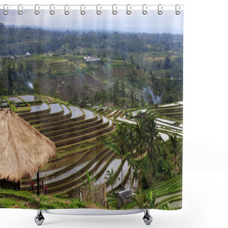 Personality  Terraced Rice Shower Curtains