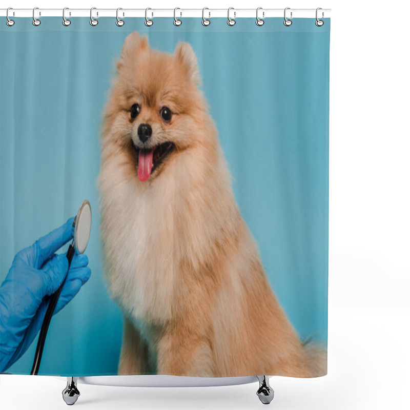 Personality  Cropped View Of Veterinarian In Latex Glove Examining Pomeranian Spitz With Stethoscope On Blue Shower Curtains