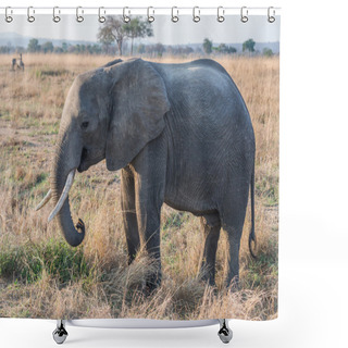 Personality  Elephant In Mikumi National Park, Tanzania Shower Curtains
