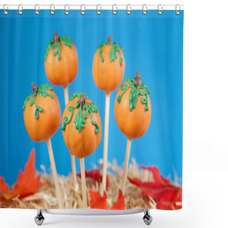 Personality  Pumpkin Cake Pops Shower Curtains