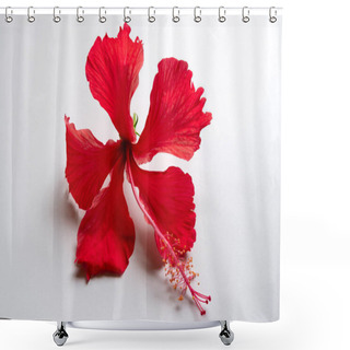 Personality  A Red Daasaval (Hibiscus) Flower On White Background, Hibiscus Colorful Flowers. These Blossoms Can Make A Decorative Addition To A Home Or Garden, But They Also Medicinal Uses Shower Curtains