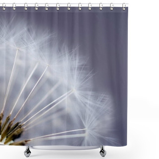 Personality  Closeup View Of Natural Dandelion Flower Shower Curtains