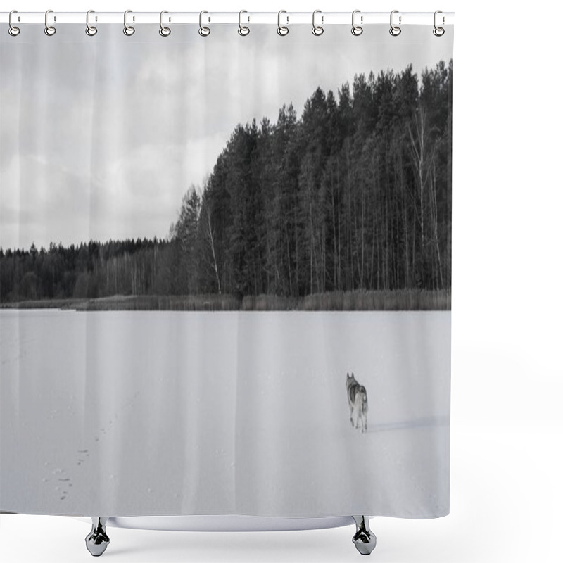 Personality  Dog Shower Curtains