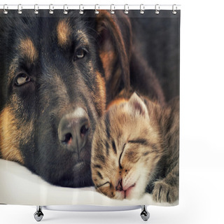 Personality  Puppy And Kitten Shower Curtains