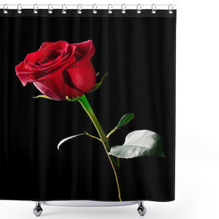 Personality  Rose Flower. Shower Curtains