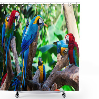 Personality  Group Parrots Shower Curtains
