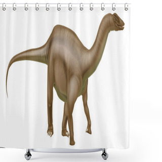 Personality  Diplodocus Dinosaur Sauropod Shower Curtains