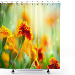 Personality  Tagetes Marigold Flower. Autumn Flowers Background Shower Curtains