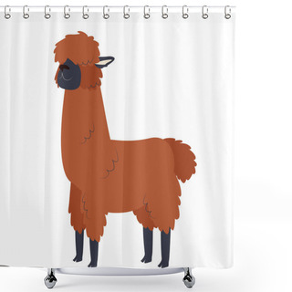 Personality  One Brown Fluffy Alpaca Stands Beautifully Shower Curtains
