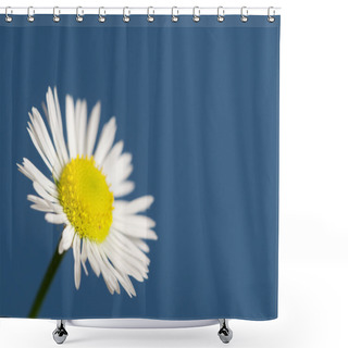 Personality  Ox-eye Daisy Flower Shower Curtains