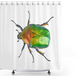 Personality  Close Up Of Green Shiny Beetle Shower Curtains