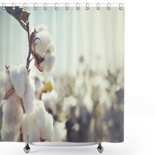 Personality  Cotton Bud Crop Shower Curtains