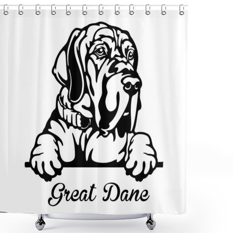 Personality  Great Dane Peeking Dog - Head Isolated On White Shower Curtains