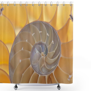 Personality  Nautilus Shell Shower Curtains