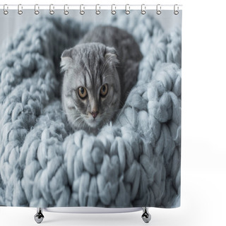 Personality  Cat On Wool Blanket Shower Curtains