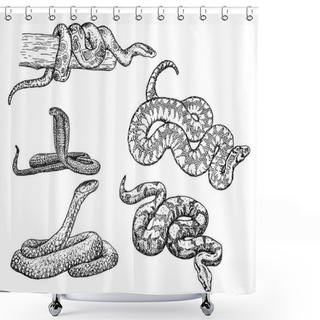 Personality  Snakes Vector Sketch Icon Set Shower Curtains