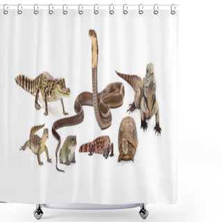 Personality  Group Of Various Reptiles Shower Curtains