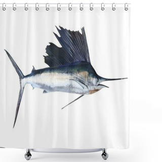 Personality  Sailfish Real Fish Isolated On White Shower Curtains
