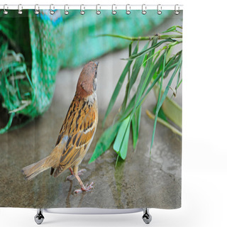 Personality  FlamingosIn The ZooVery Beautiful Shower Curtains