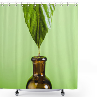 Personality  Essential Oil Dripping From Leaf Into Glass Bottle Isolated On Green Shower Curtains