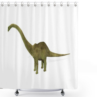 Personality  Diplodocus Shower Curtains