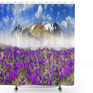 Personality  Spring Flowers Crocuses In Carpathian Mountains Shower Curtains