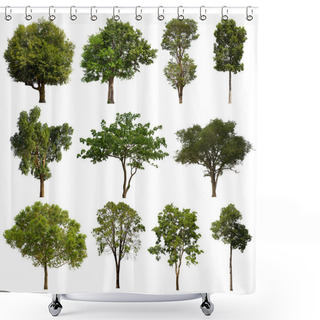 Personality  Isolated Tree Green Set Is Located On A White Background.Collection Of Isolated Tree Green On White Background Tropical Tree Shower Curtains
