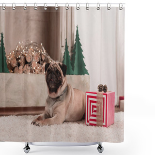Personality  Pug With Christmas Gift Shower Curtains