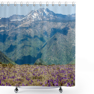 Personality  Romania Shower Curtains