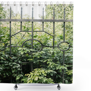 Personality  Green Branches Behind Fence In Botanical Garden Shower Curtains