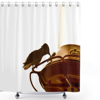 Personality  Hummingbird Takes A Drink Shower Curtains