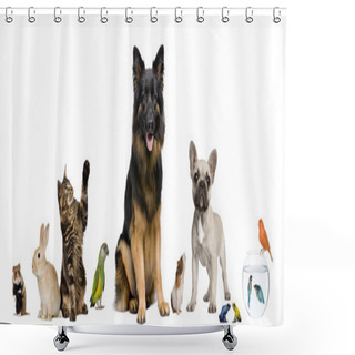 Personality  Group Of Pets Together In Front Of White Background Shower Curtains