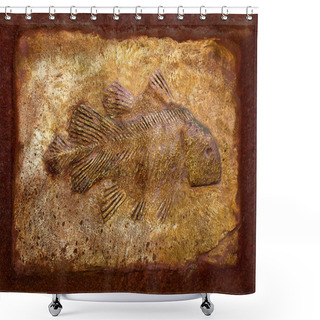 Personality  The Model Fossil Of Ancient Fish Shower Curtains