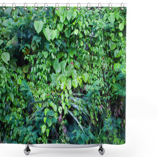Personality  Jungle Green Leaves Summer Background In Exotic Tones Shower Curtains