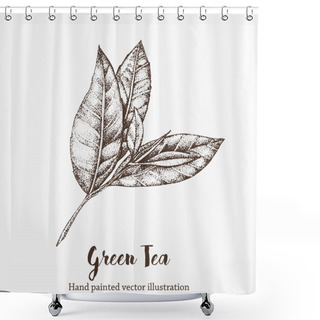 Personality  Green Tea Leaf Vector Illustration. Floral Branch Organic Hand Drawing Sketch. Shower Curtains