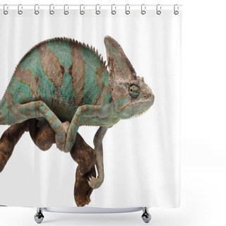 Personality  Greenish Brown Chameleon On Branch Shower Curtains
