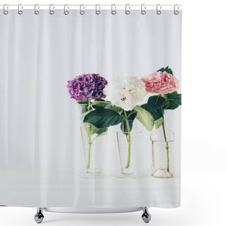 Personality  Pink, Purple And White Flowers Of Hydrangea In Glass Vases, On White Shower Curtains