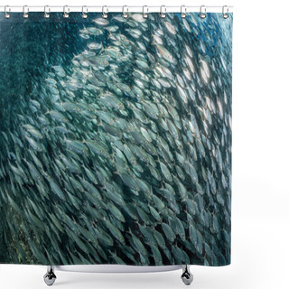 Personality  Sardine School Of Fish Underwater Shower Curtains