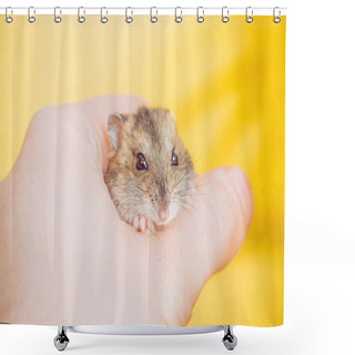 Personality  Cropped View Of Man Holding Adorable Fluffy Hamster On Yellow Shower Curtains