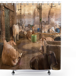 Personality  Protective Shelters For Cows Shower Curtains