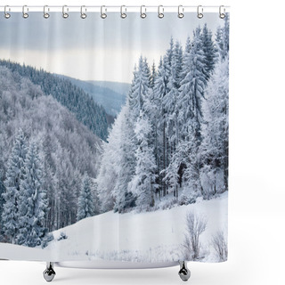 Personality  Winter Forest Shower Curtains