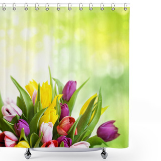 Personality  Spring Background With A Bouquet Of Fresh Tulips Shower Curtains