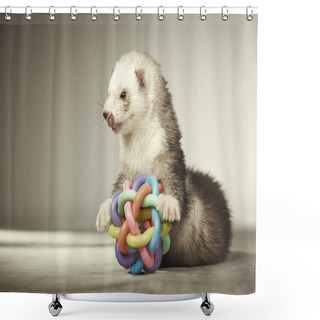 Personality  Nice Ferret Playing With Toy In Studio Shower Curtains