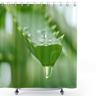 Personality  Aloe Shower Curtains