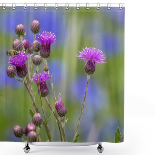Personality  Cirsium Lineare (Thunb.) Shower Curtains
