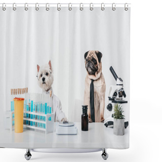 Personality  Dogs Scientists In Laboratory Shower Curtains
